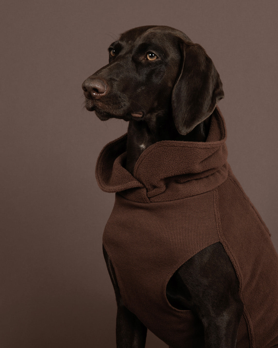 Seawool Shirt Choco NEW
