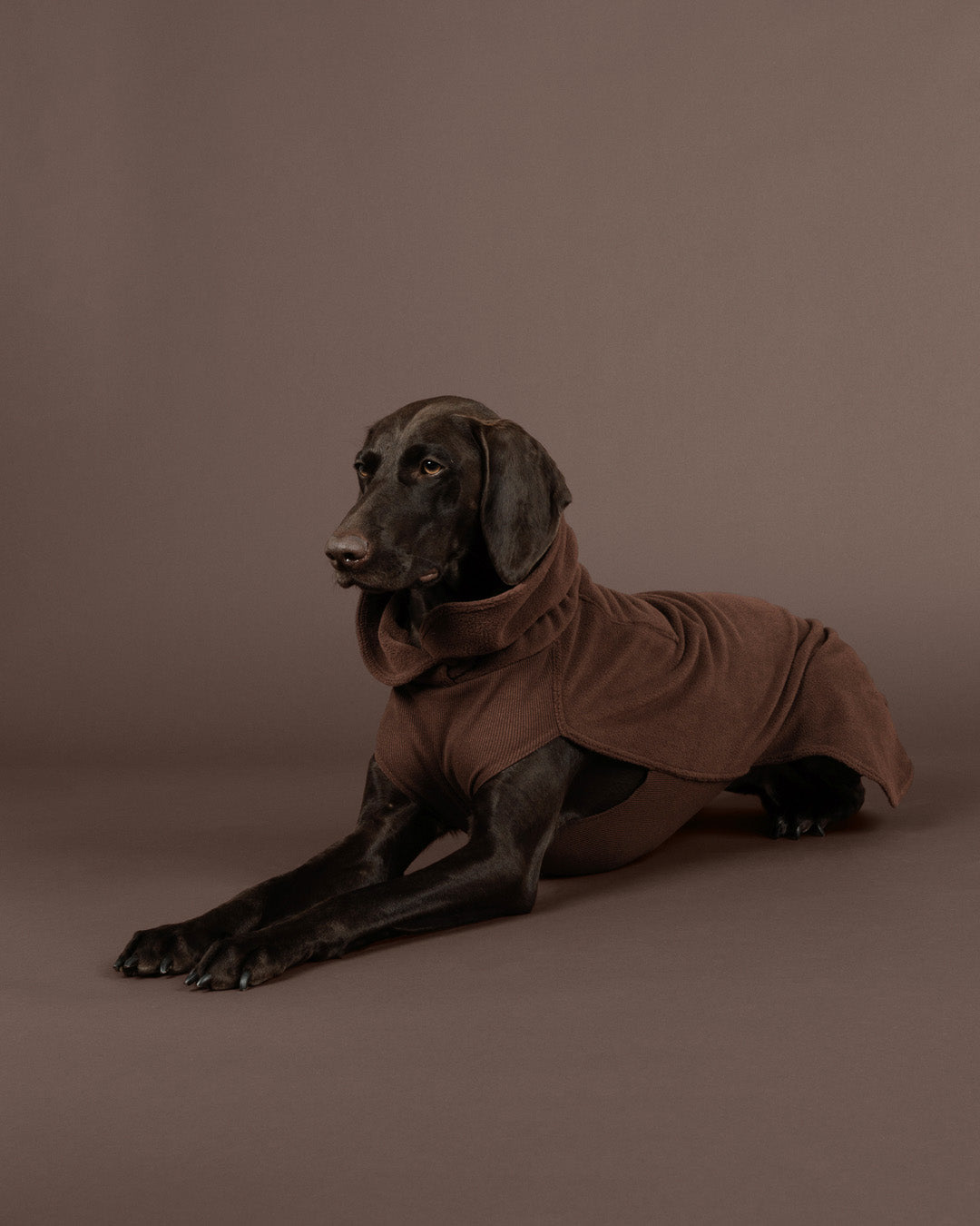 Seawool Shirt Choco NEW