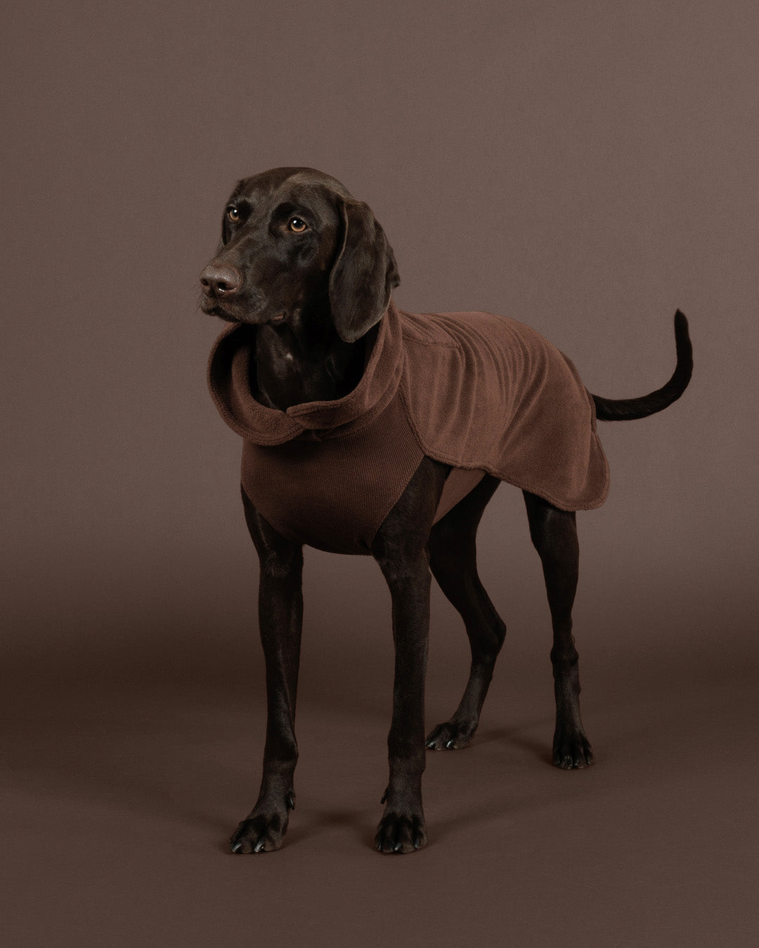 Seawool Shirt Choco NEW