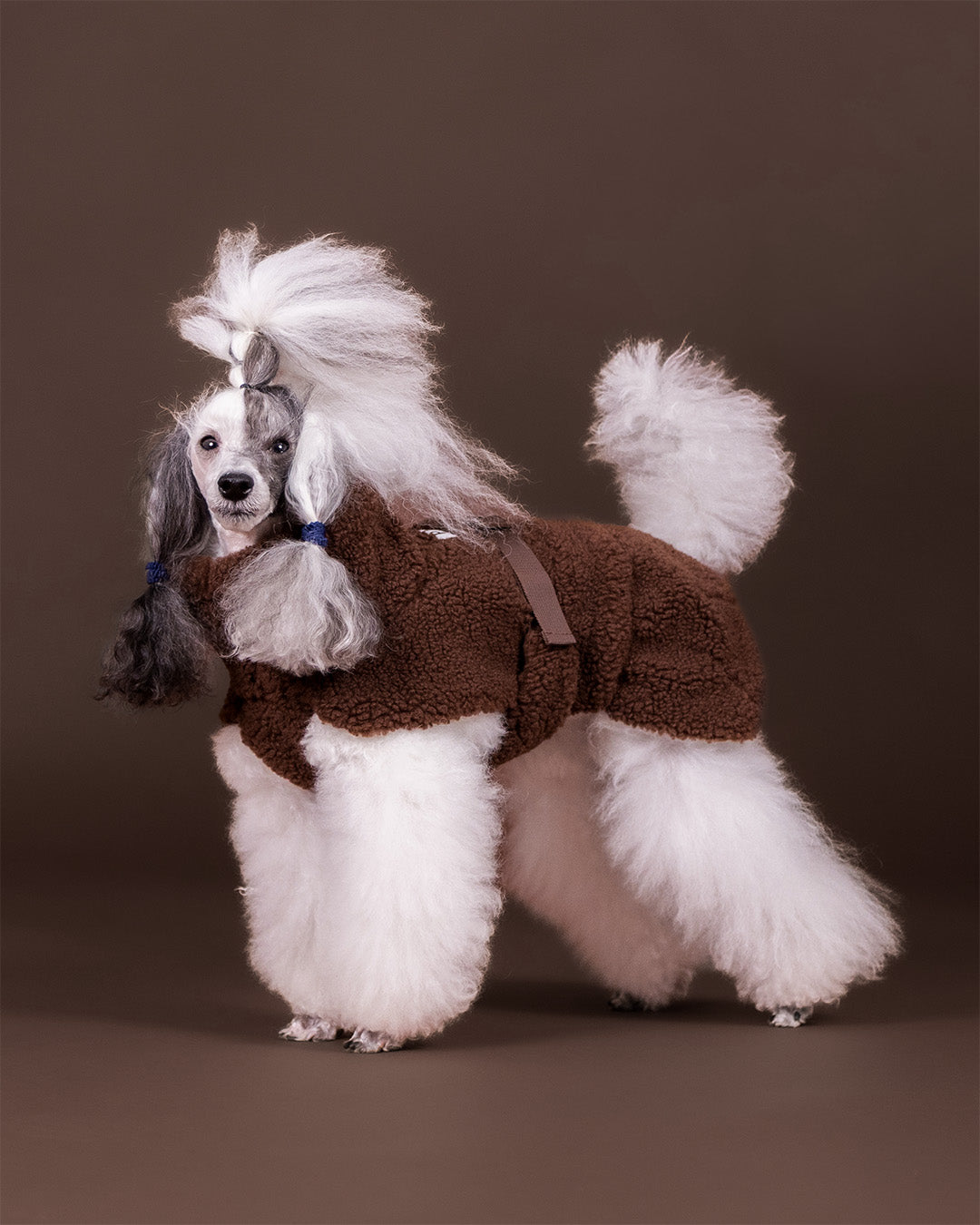 Sherpa Shirt Choco