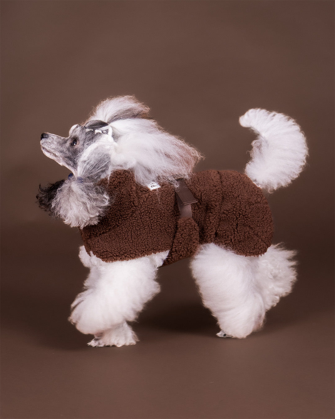 Sherpa Shirt Choco