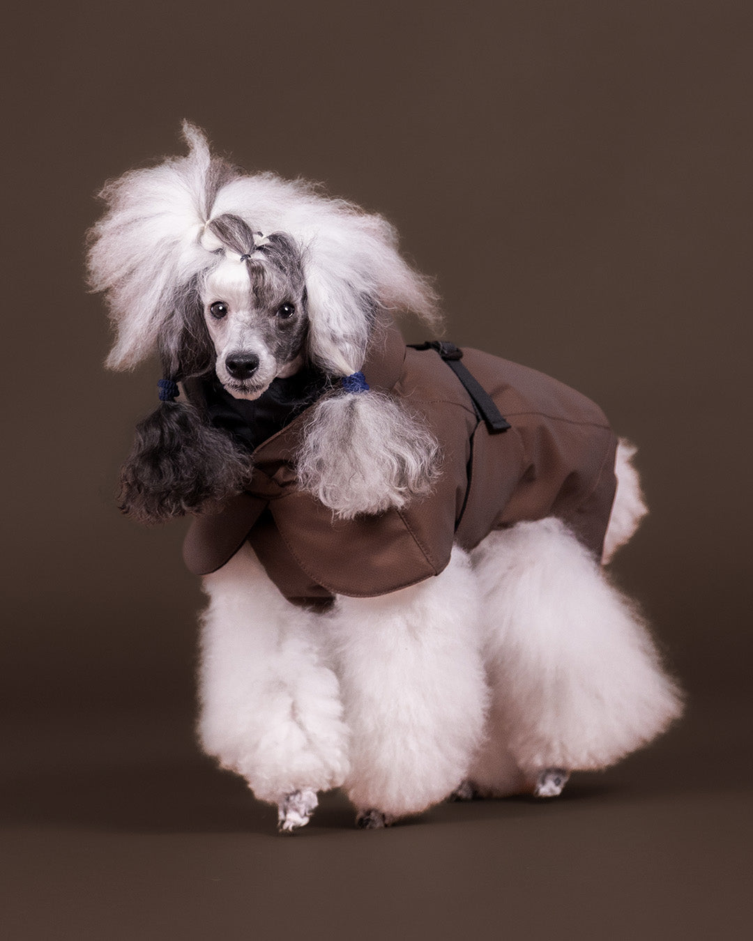 Visibility Winter Jacket Seawool Choco