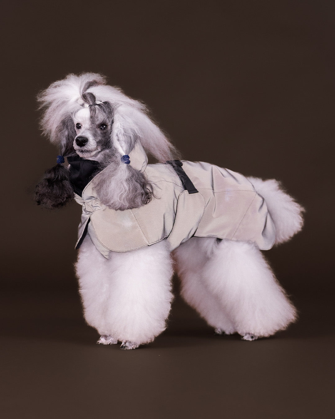 Veste d'hiver Visibility Seawool Chocolat