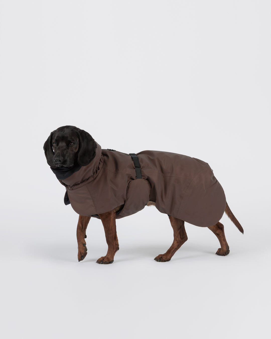 Veste d'hiver Visibility Seawool Chocolat