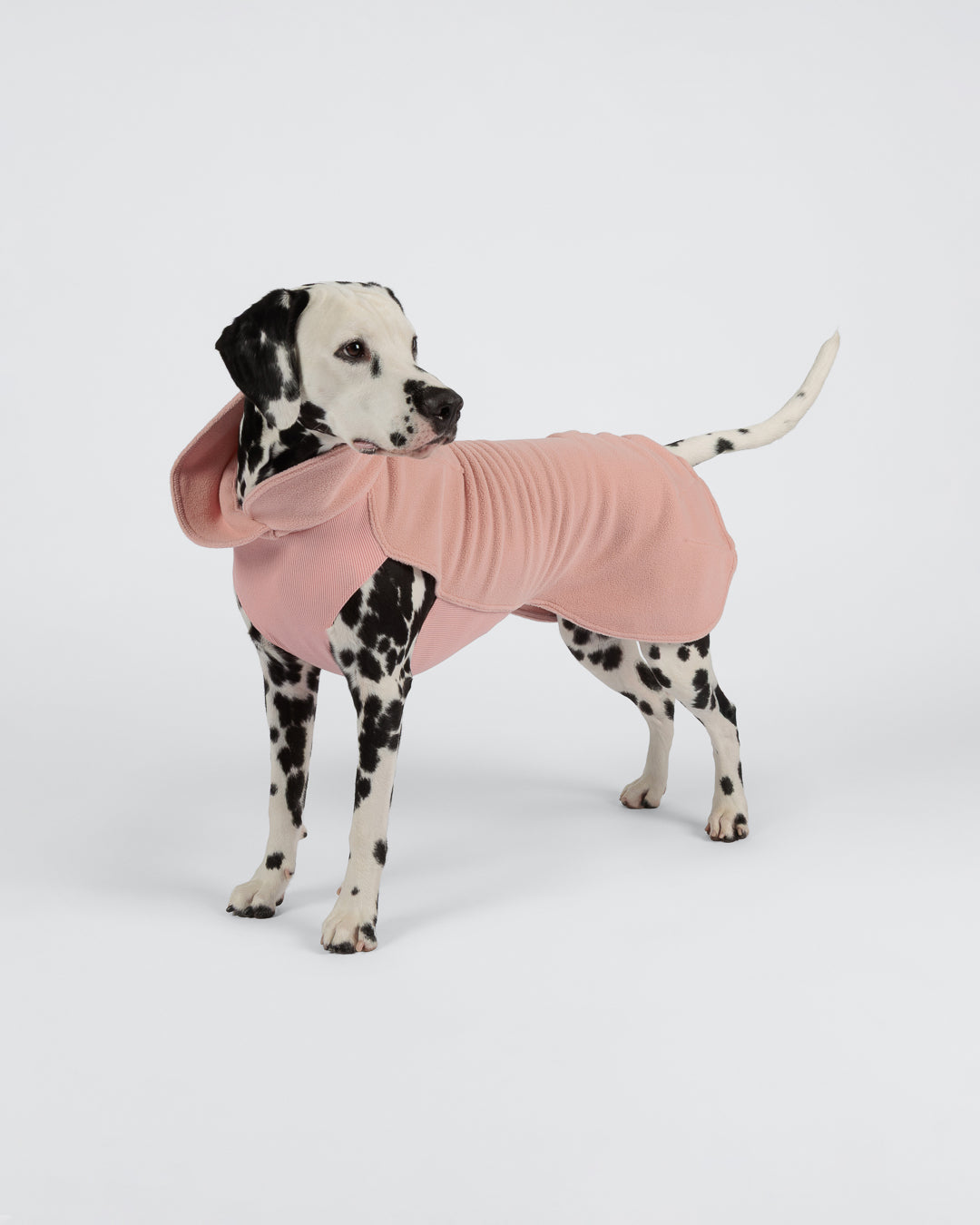 Seawool Shirt Pale Pink NEW