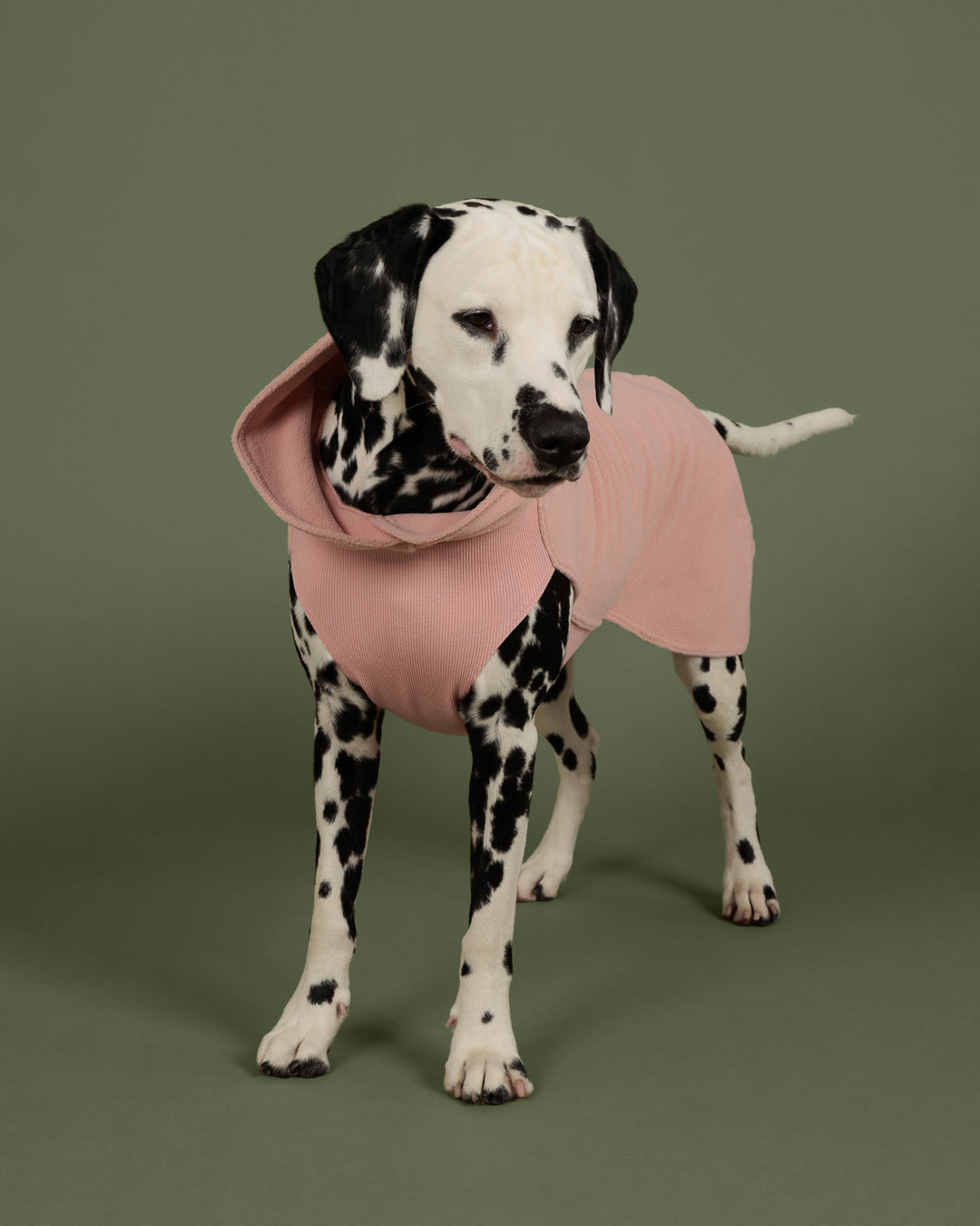 Seawool Shirt Pale Pink NEW