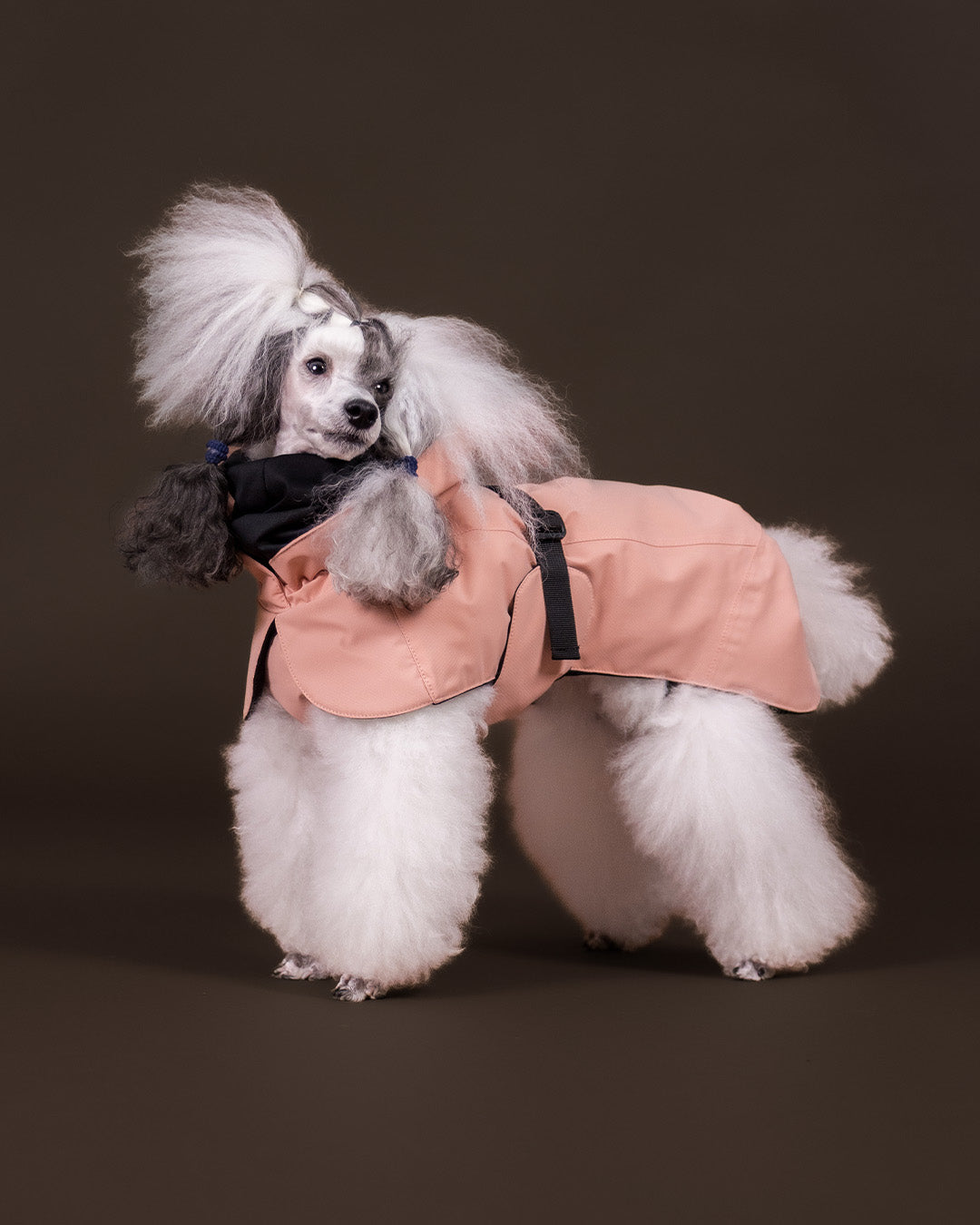 Visibility Hundewintermantel Seawool Rosa