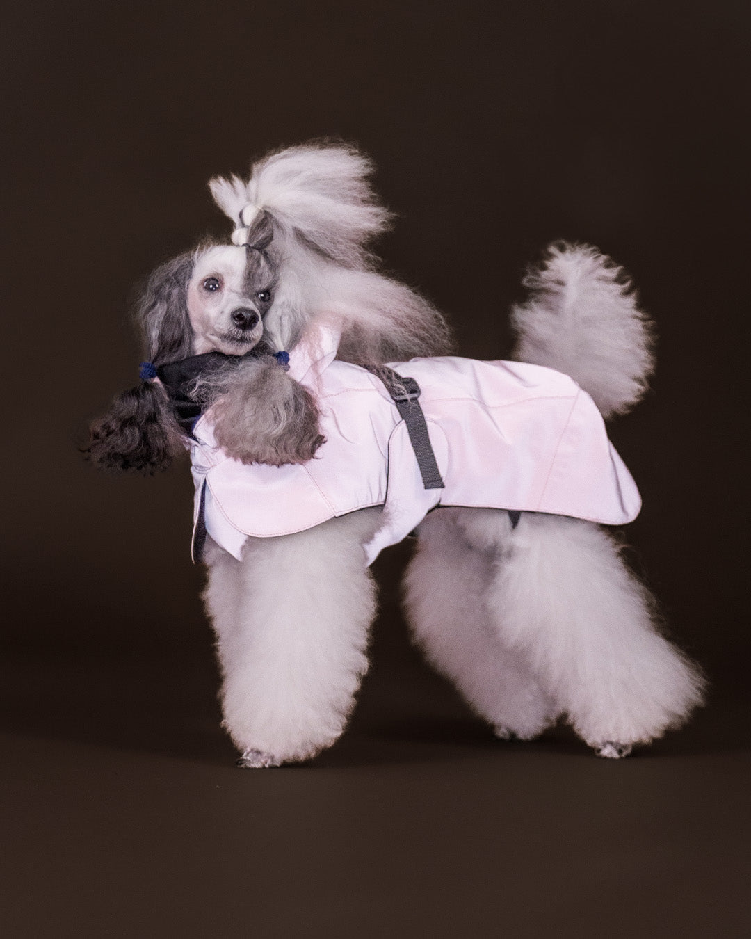 Visibility Hundewintermantel Seawool Rosa