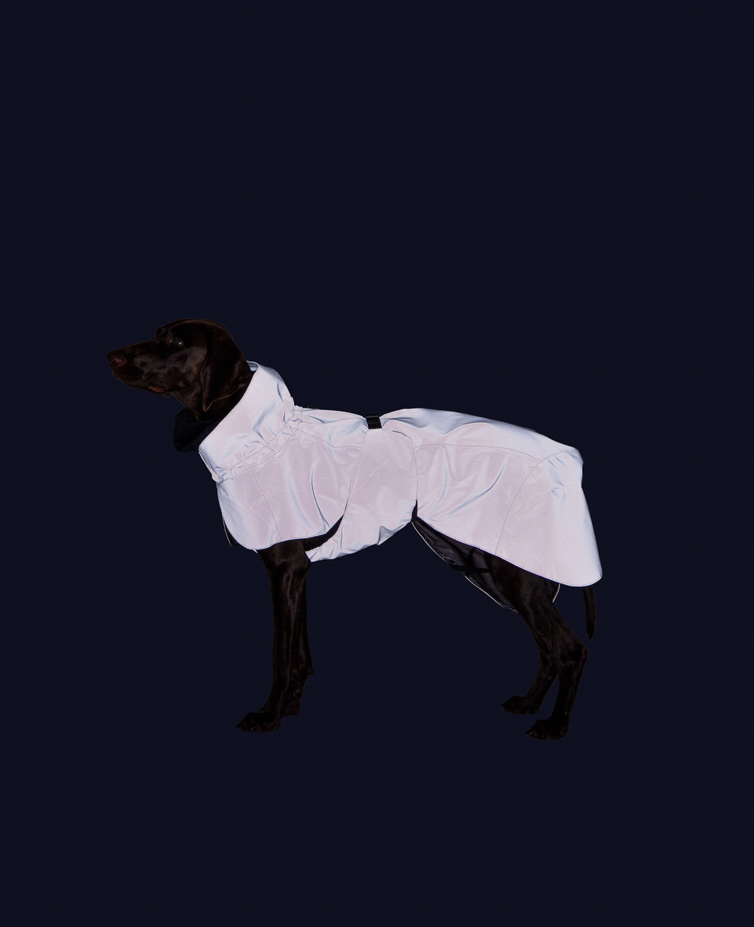 PAIKKA Visibility Hunderegenmantel Rose NEU