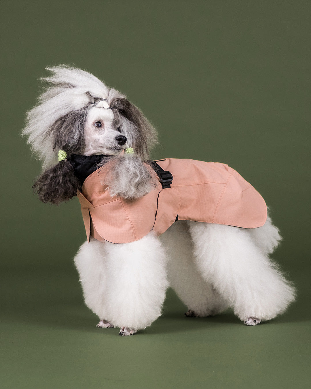 Visibility Raincoat Rose