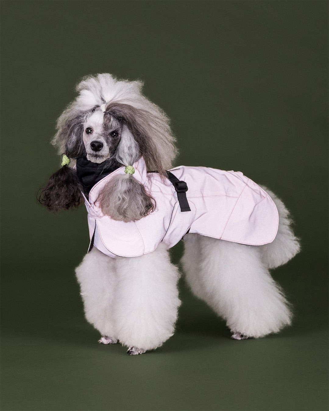 Visibility Raincoat Rose