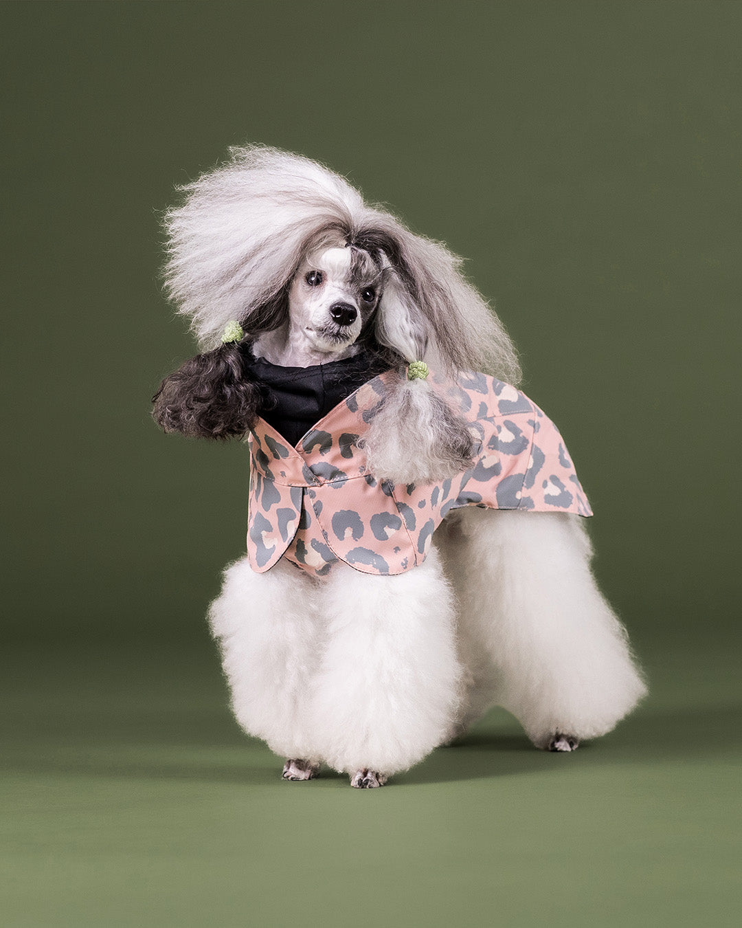 Visibility Raincoat Pink Leo