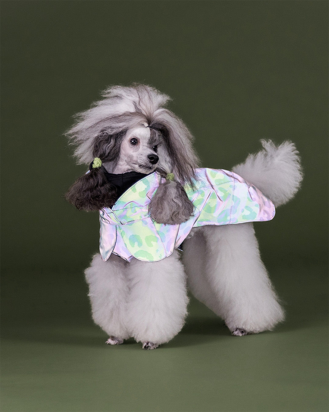 Visibility Raincoat Pink Leo
