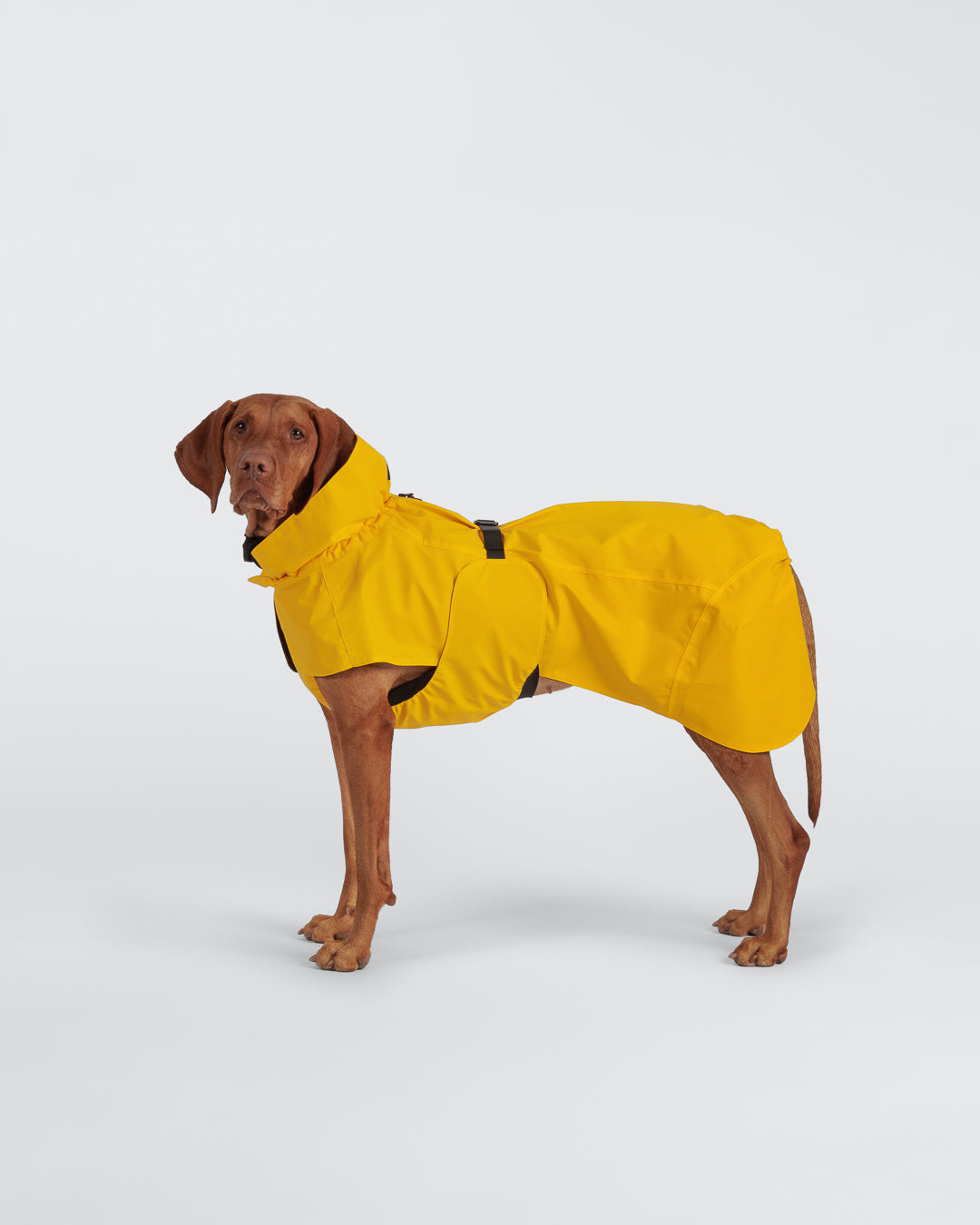 Visibility Raincoat Yellow NEW