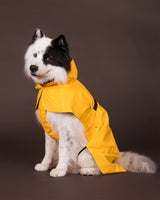 Visibility Raincoat Yellow