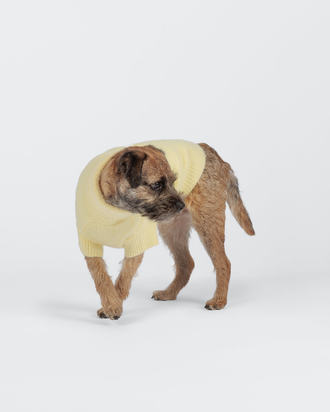Furry Knit Sweater Pale Banana NEW