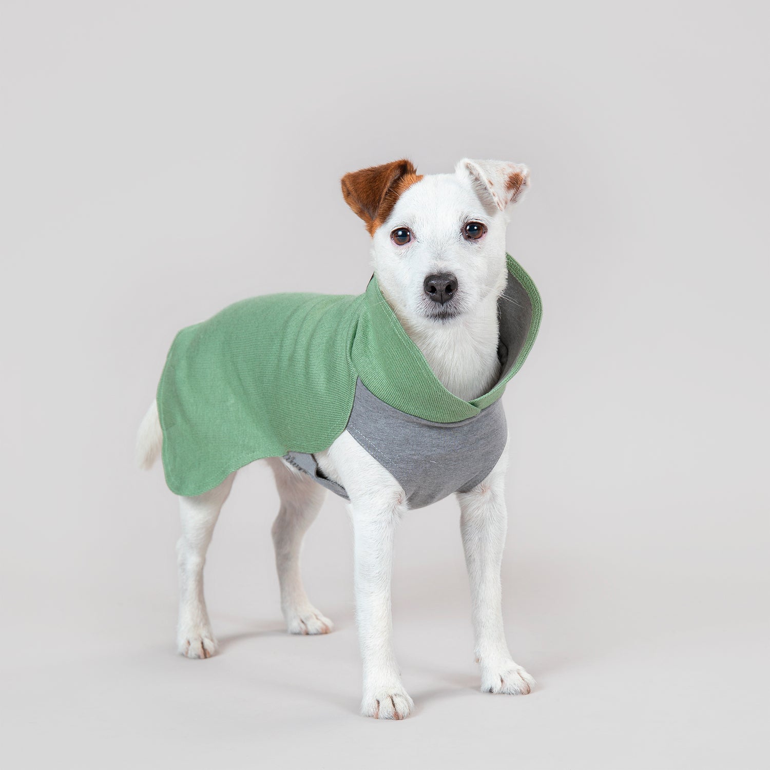 Recovery Shirt Green for Dogs