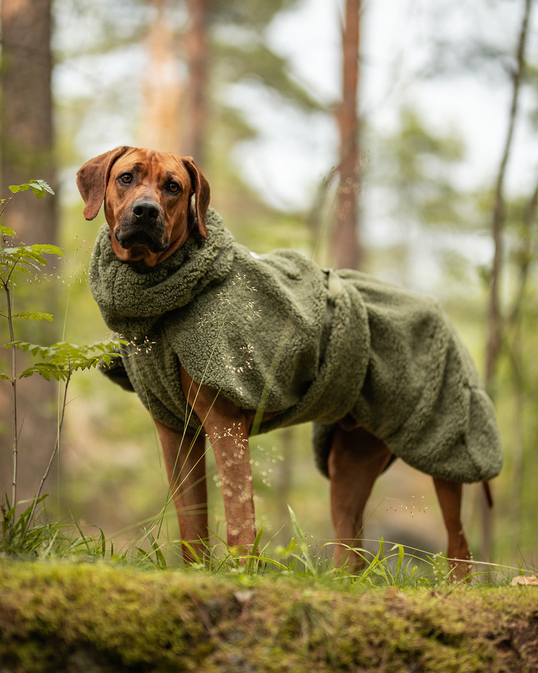 Chemise Sherpa PAIKKA Olive