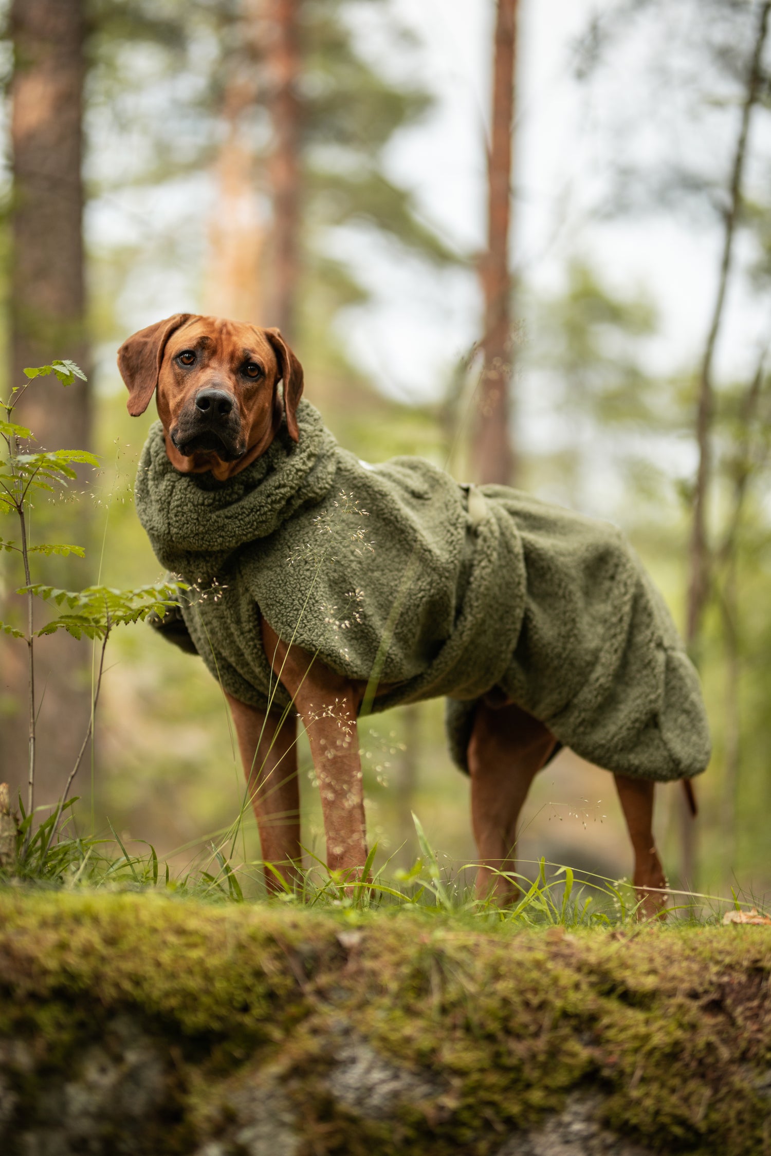 PAIKKA Sherpa Shirt Olive