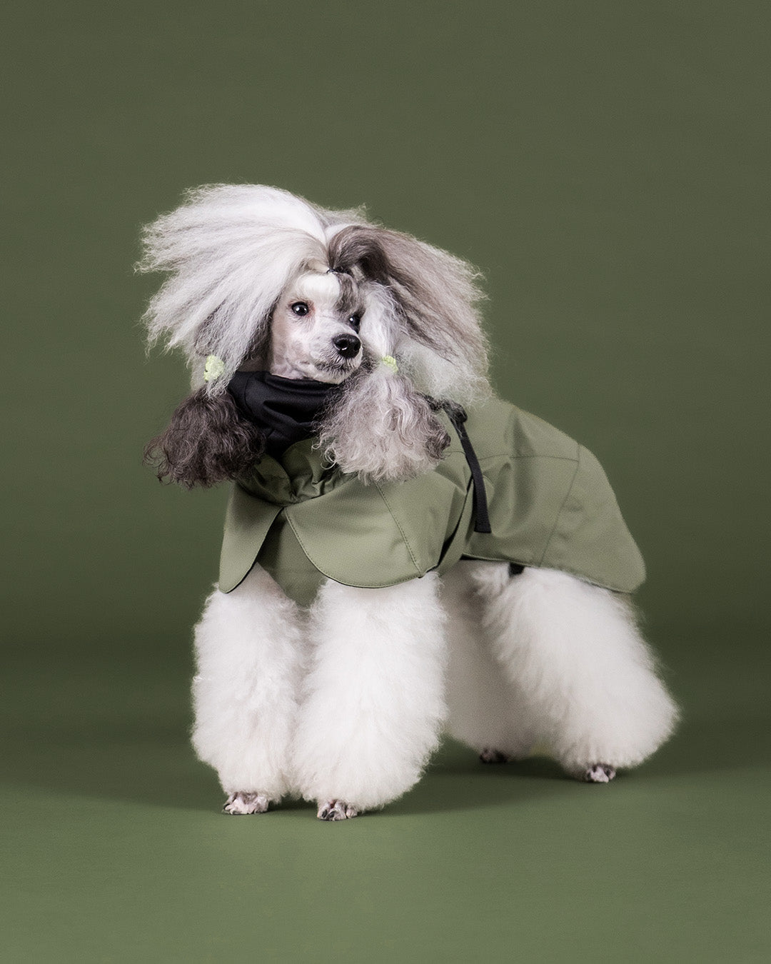 Visibility Winter Jacket Seawool Olive