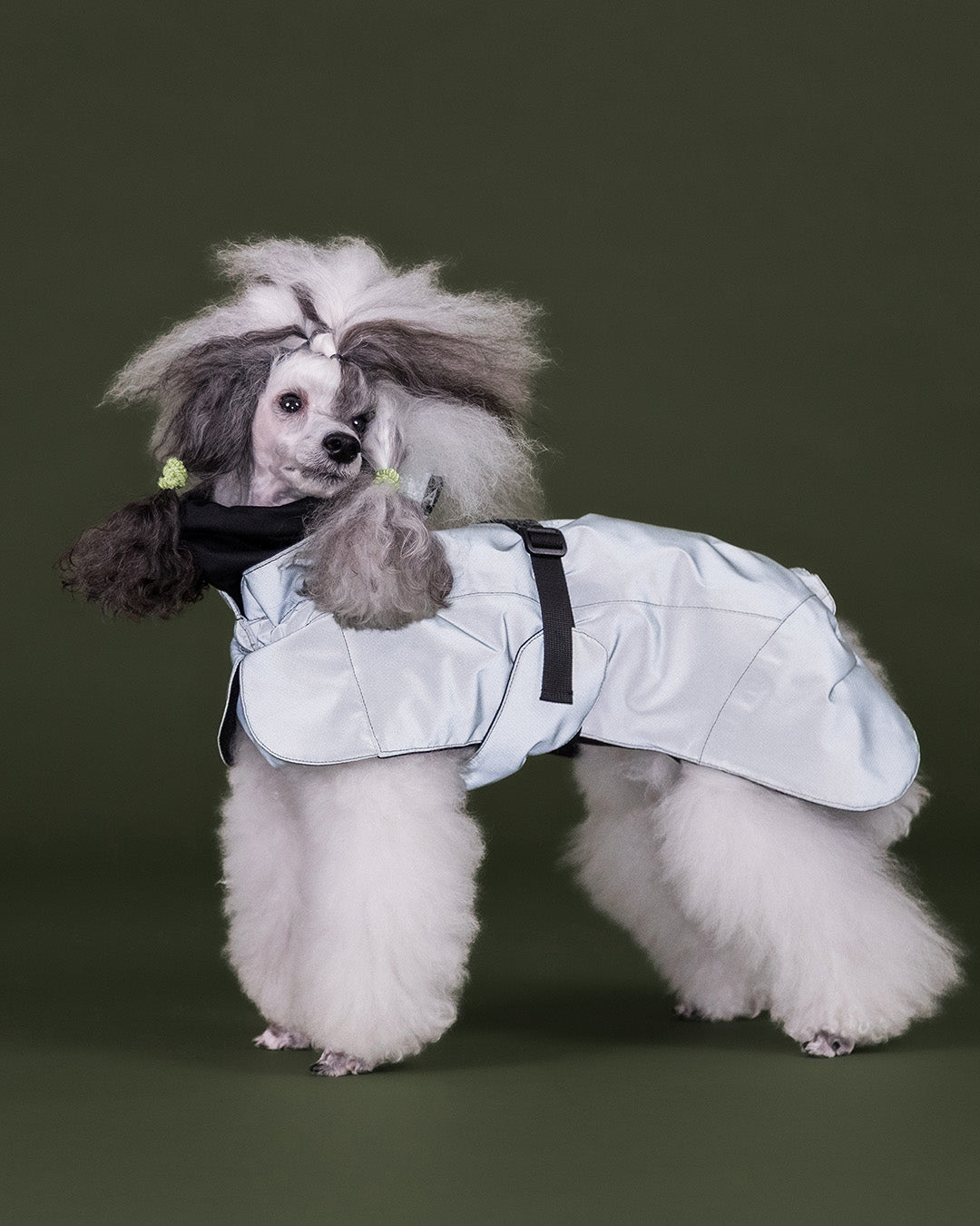 Visibility Hundewintermantel Seawool Oliv