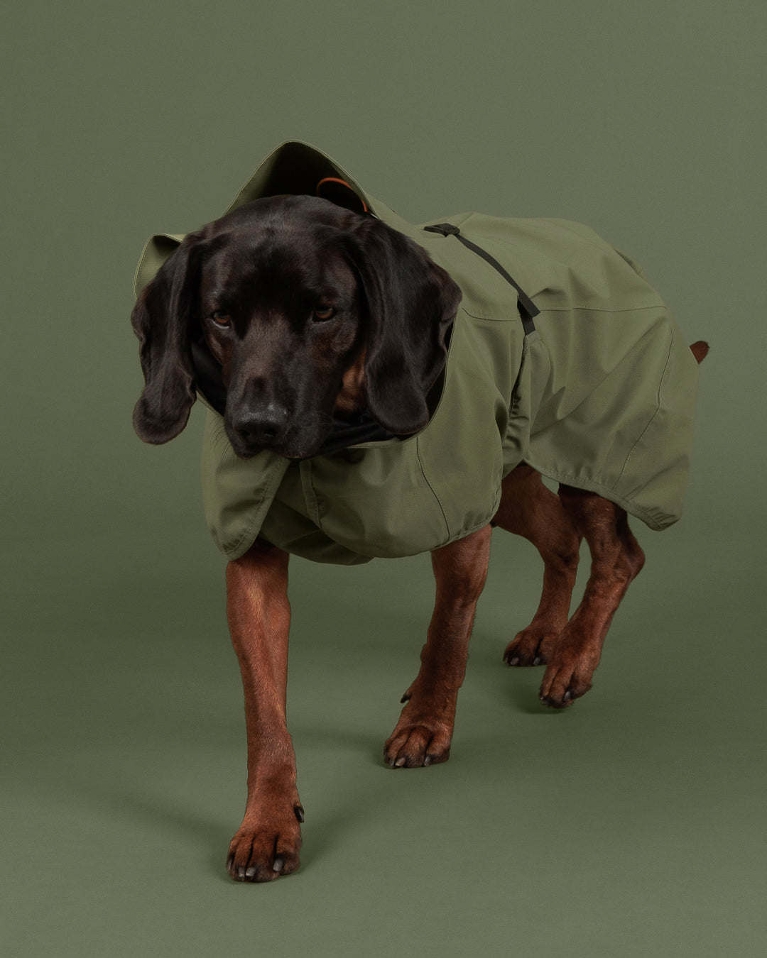 Reflektierender Hunderegenmantel Olive NEU