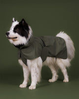 Visibility Raincoat Thyme