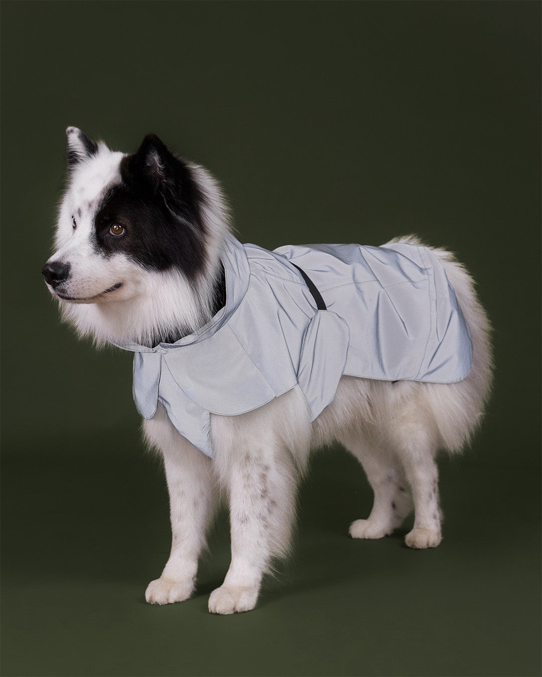 Visibility Raincoat Thyme