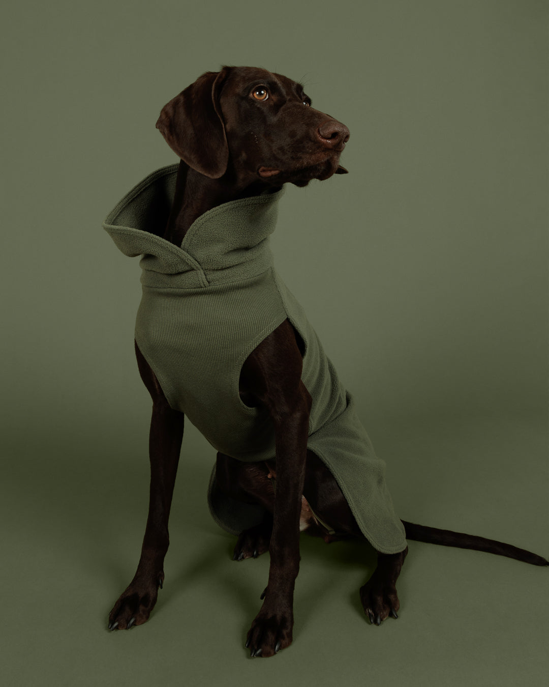 Seawool Shirt Thyme NEW