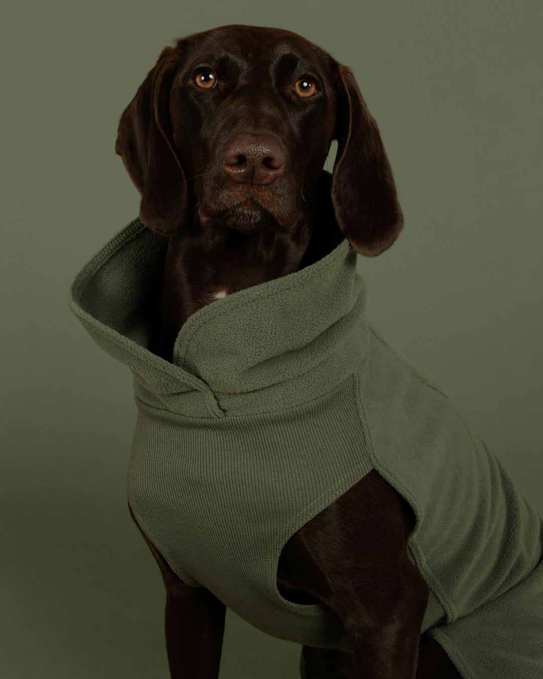 Seawool Shirt Thyme NEW