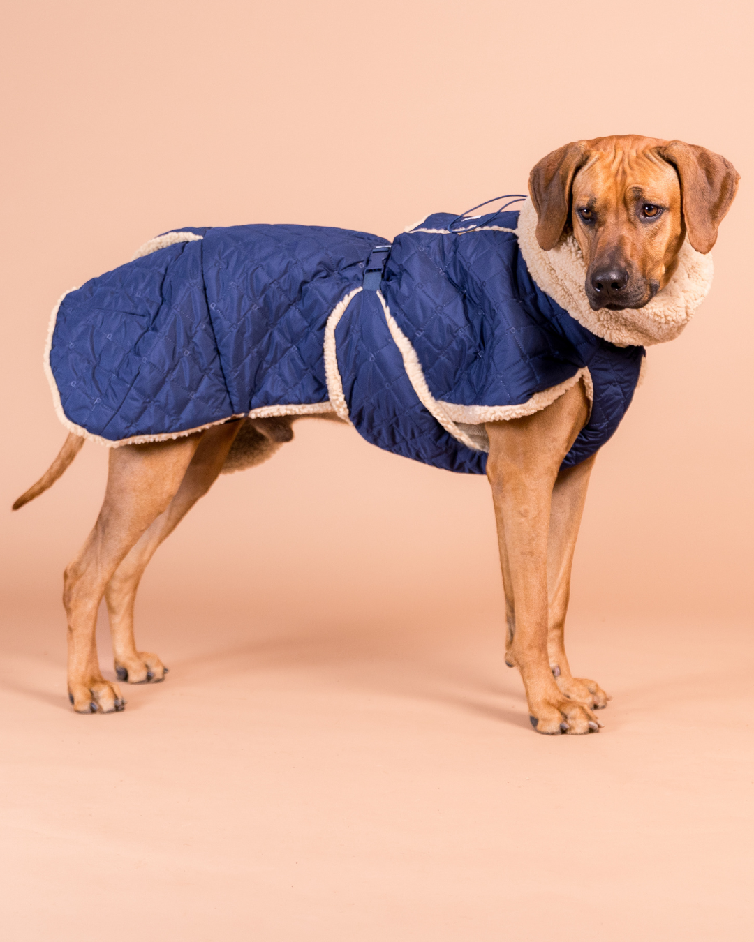 PAIKKA Quilted Sherpa Jacket Navy