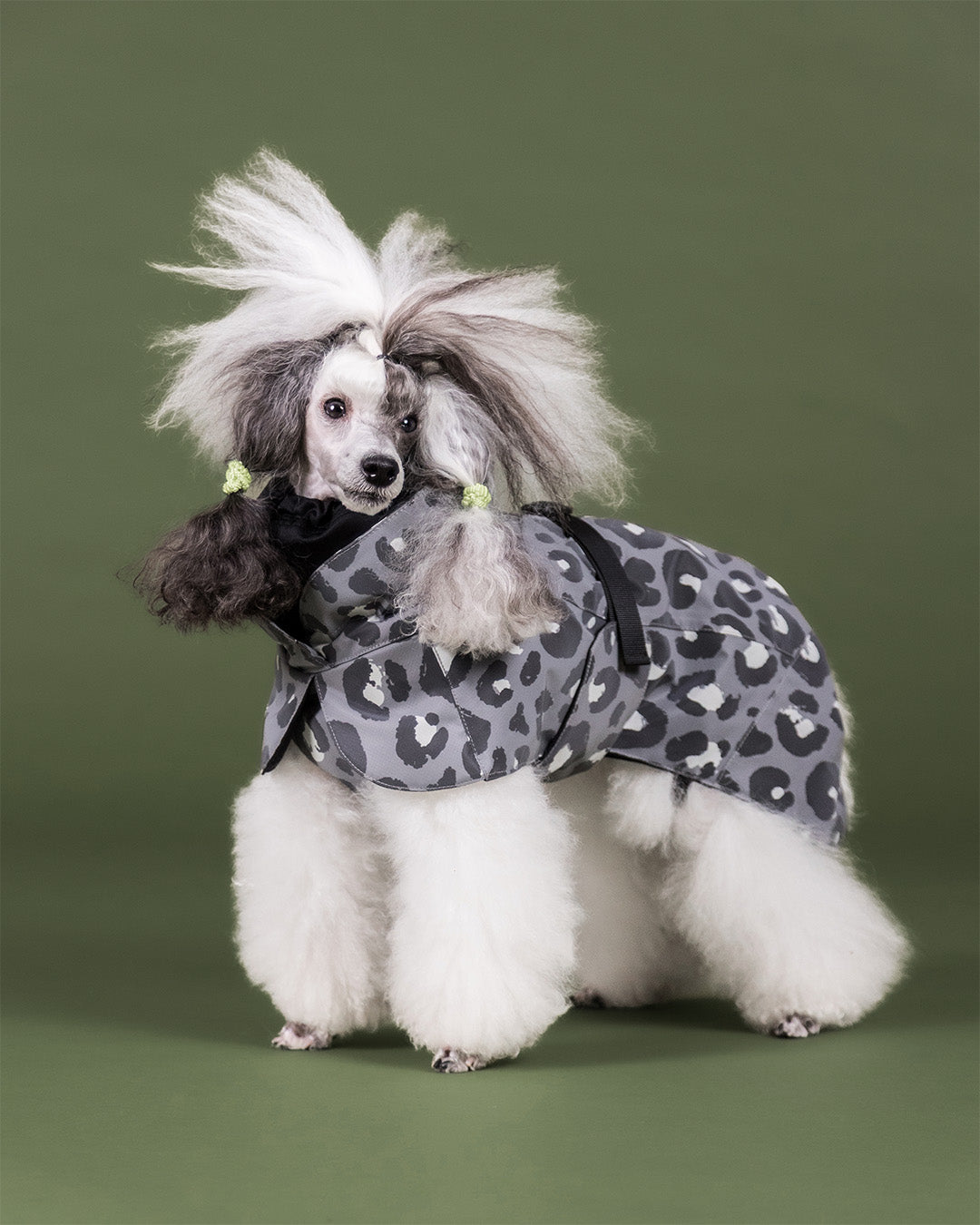 Visibility Winter Jacket Seawool Grey Leo