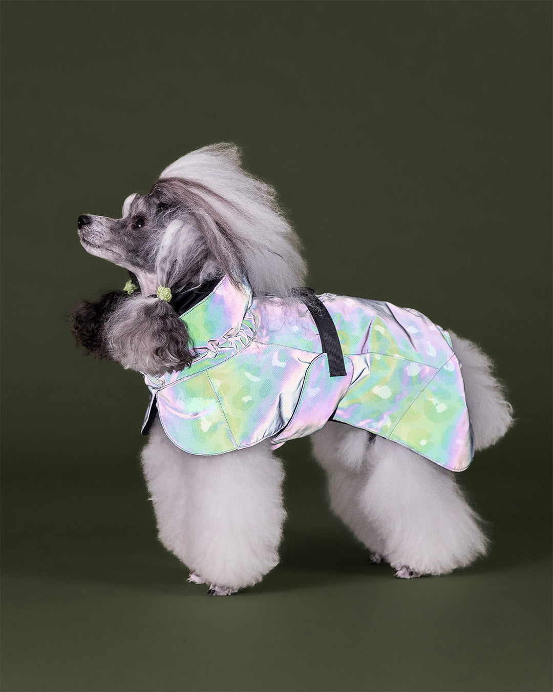 Visibility Winter Jacket Seawool Grey Leo