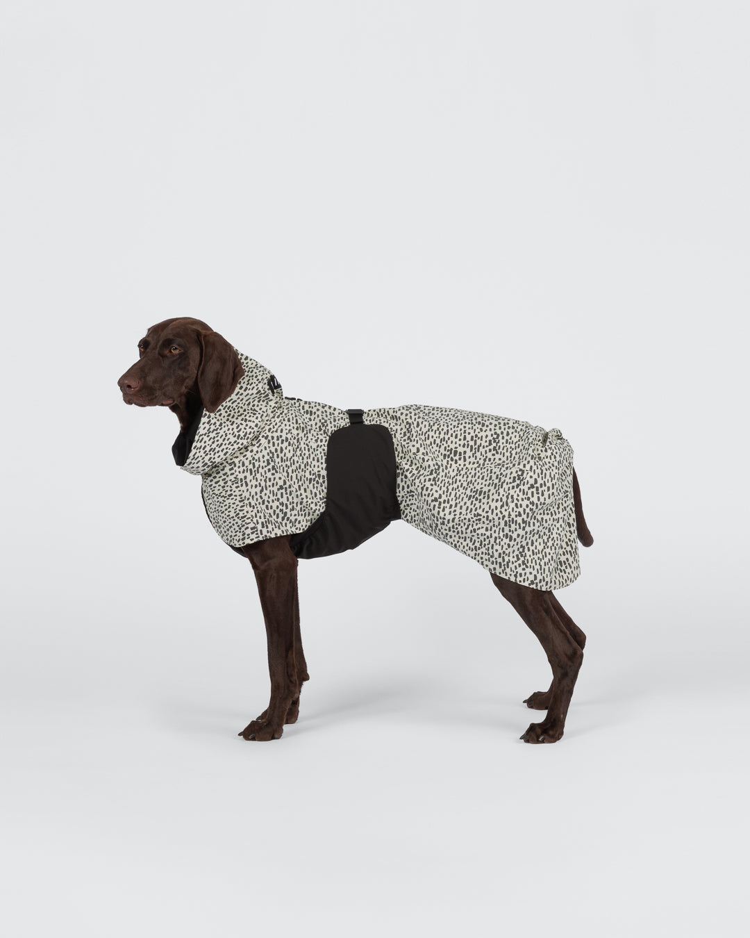 Raincoat 2.0 NEW