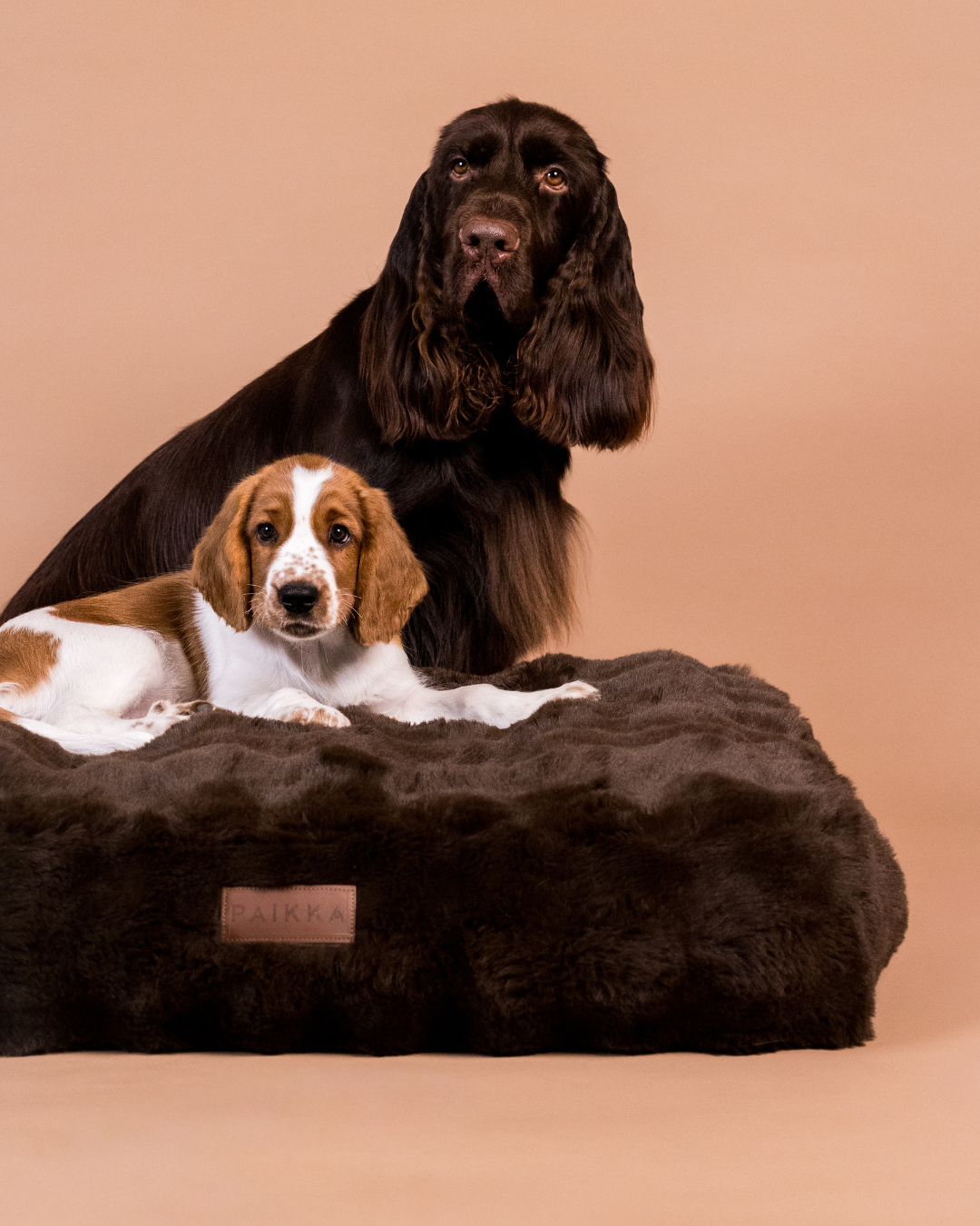 PAIKKA Orthopedic Plush Bed Lounge