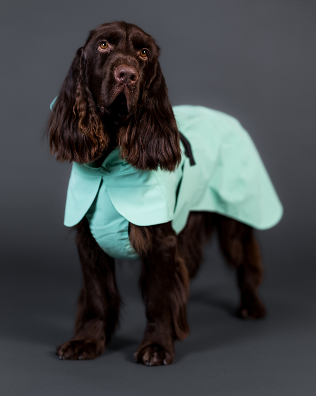 PAIKKA Visibility Raincoat Lite Cabbage