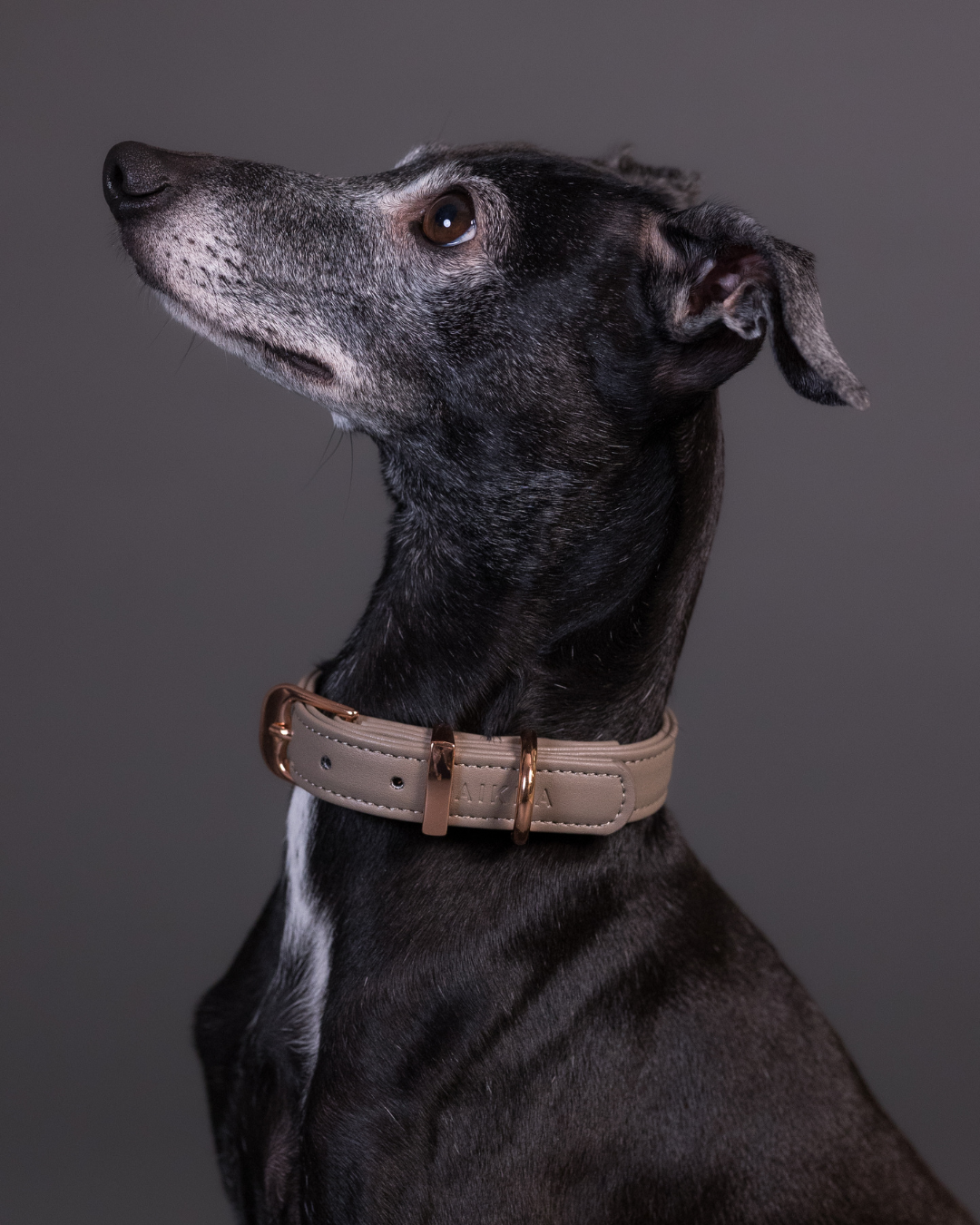 PAIKKA Lignify Collar for Dogs Taupe