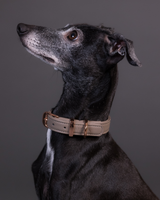 PAIKKA Lignify Collar for Dogs Taupe