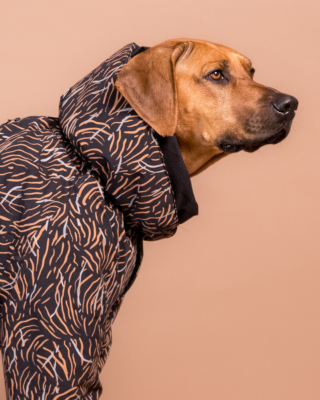 PAIKKA Winter Suit Coal