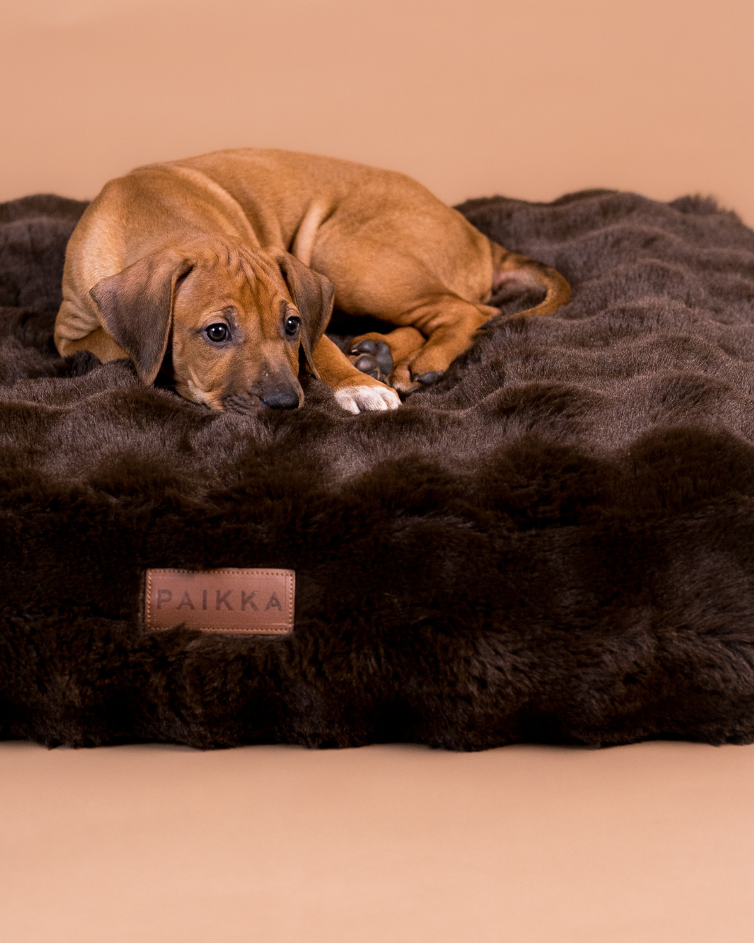 PAIKKA Orthopedic Plush Bed Lounge