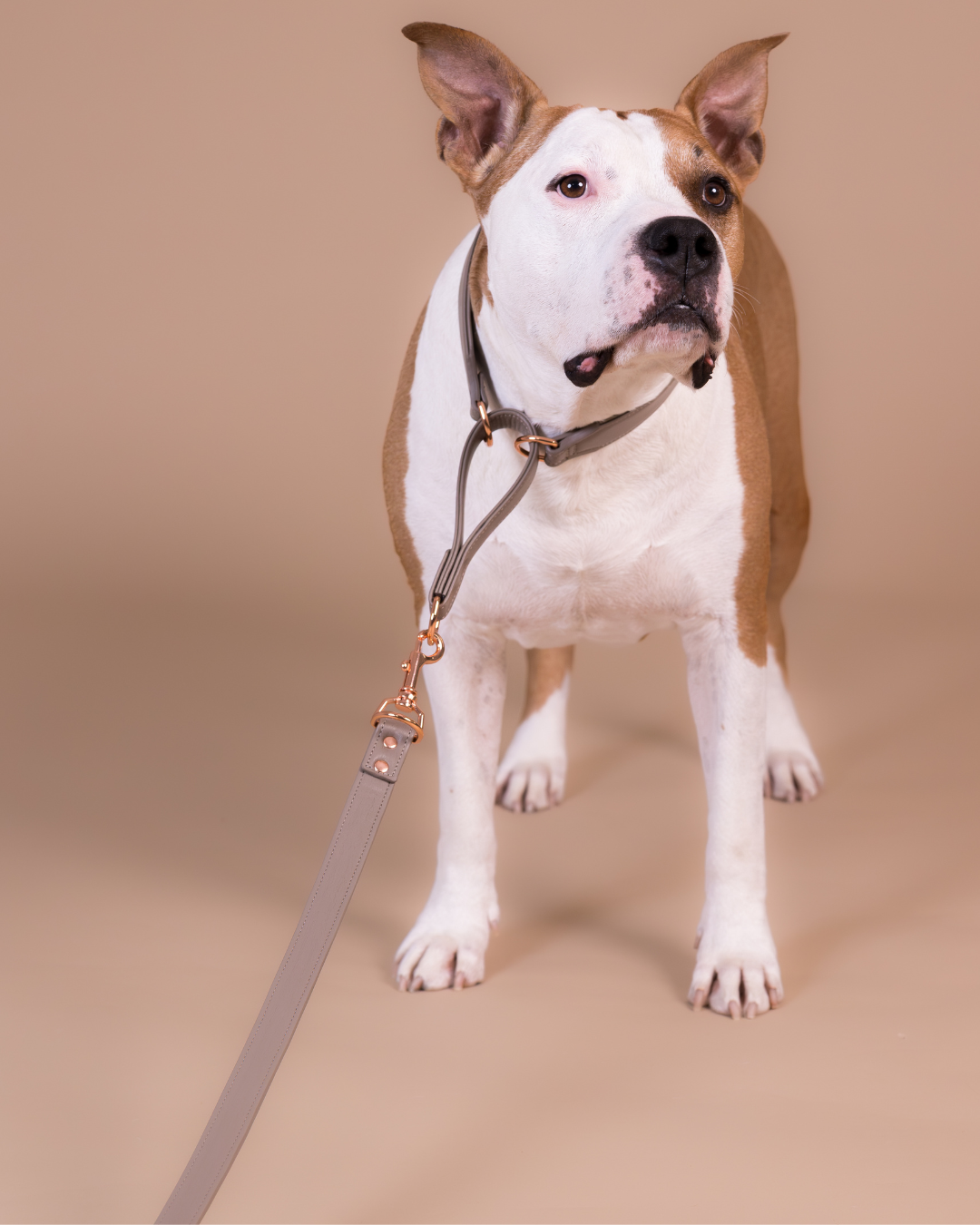 PAIKKA Lignify Leash Taupe