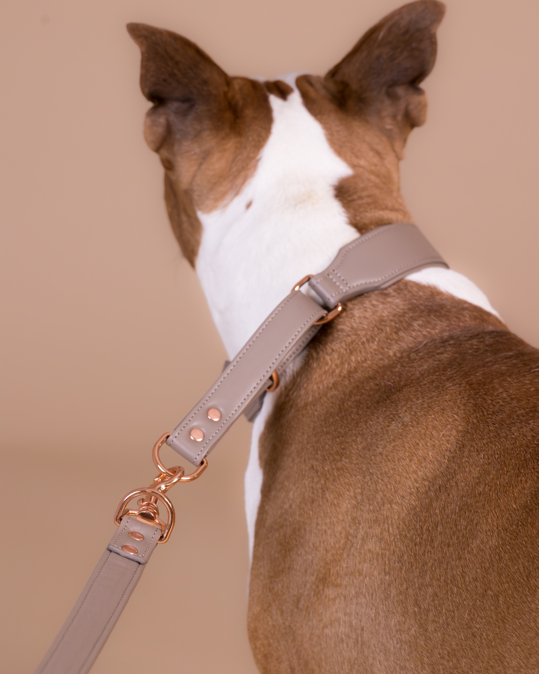 PAIKKA Lignify Leash Taupe