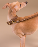 PAIKKA Lignify Laisse pour chien Marron