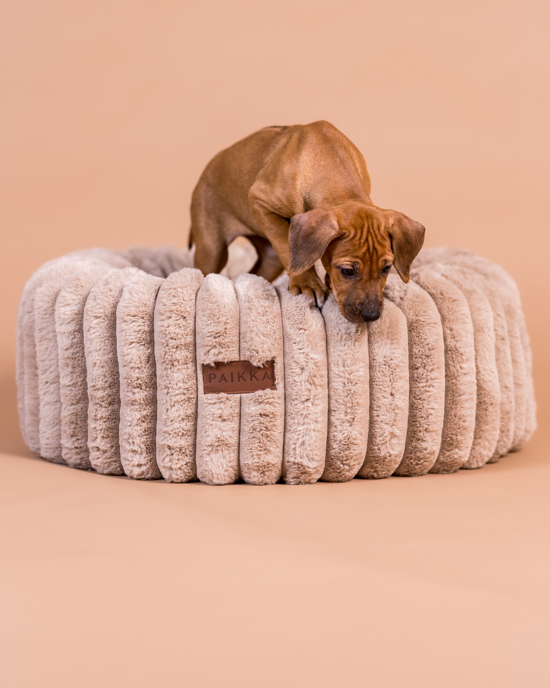 PAIKKA Orthopedic Plush Bed Round