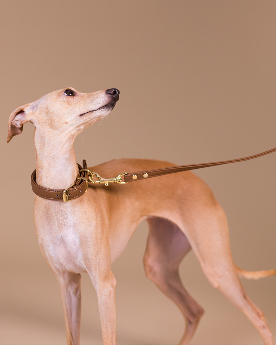 PAIKKA Lignify Leash Brown