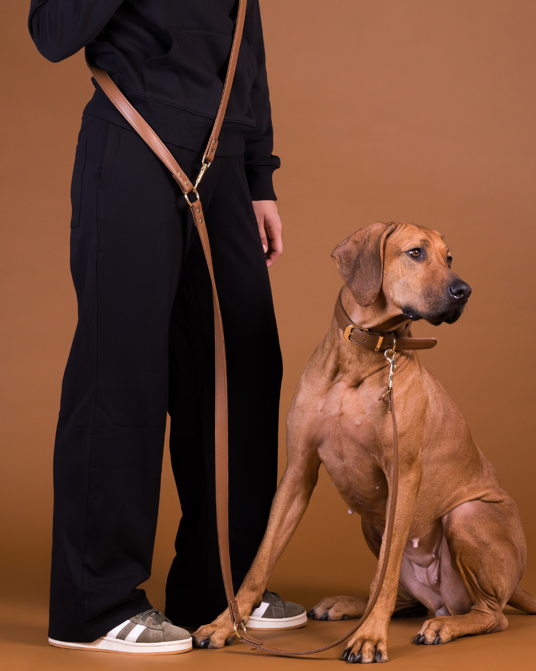 PAIKKA Lignify Multi-Leash Brown