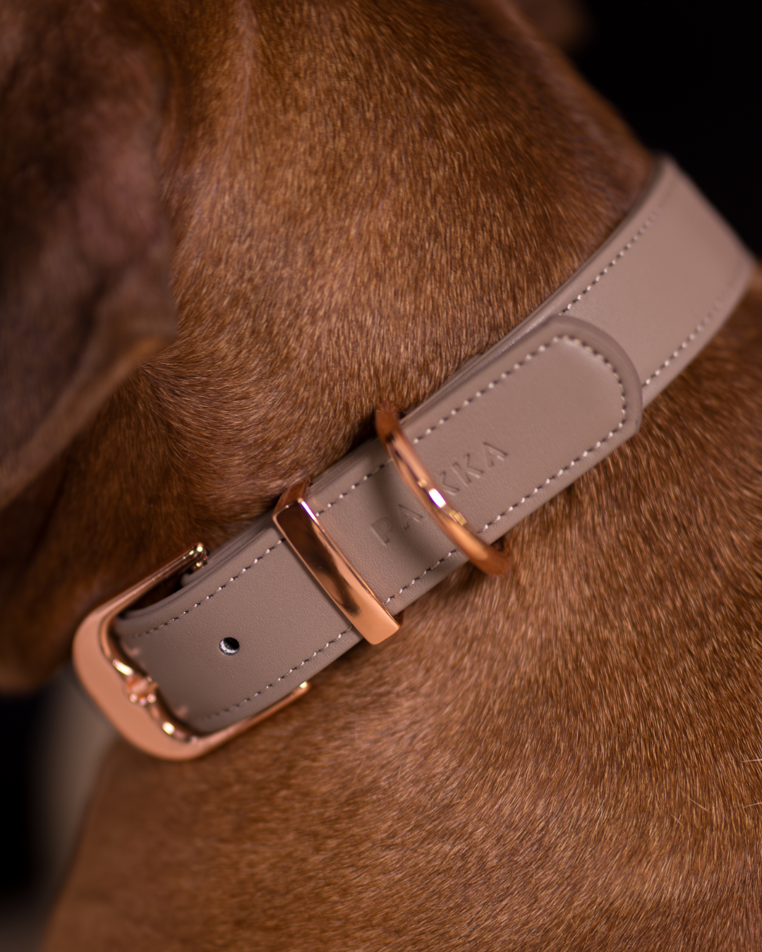PAIKKA Lignify Collar for Dogs Taupe