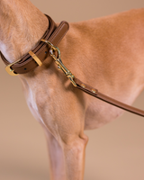 PAIKKA Collier pour chien Lignify Marron