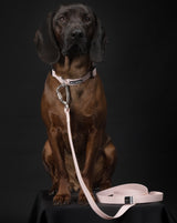 PAIKKA Laisse Glow Rose Pâle