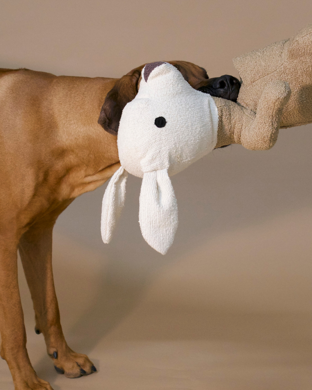 PAIKKA Kengu Toy